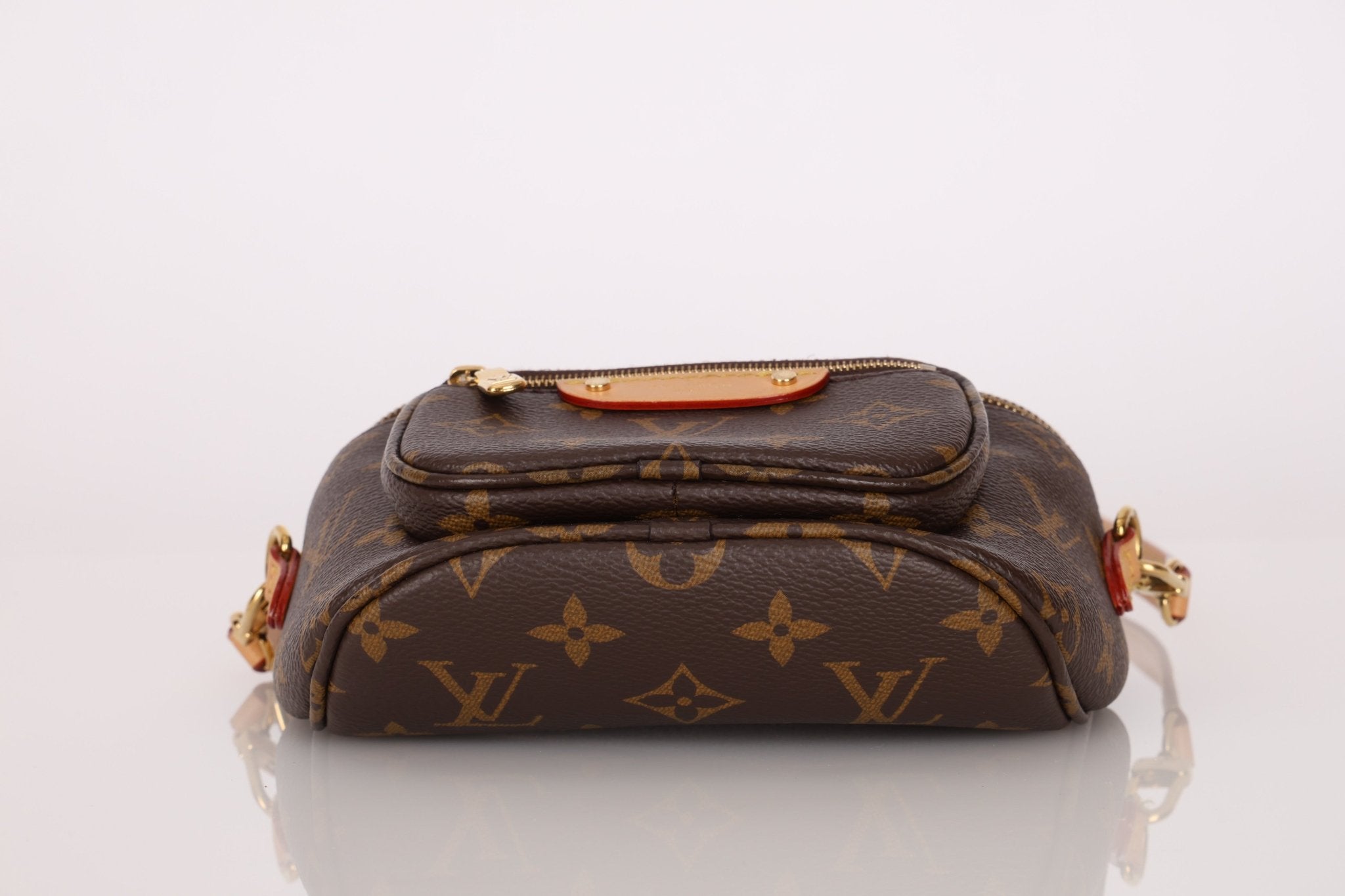 Louis Vuitton Monogram Mini Bum Bag - FashioNica