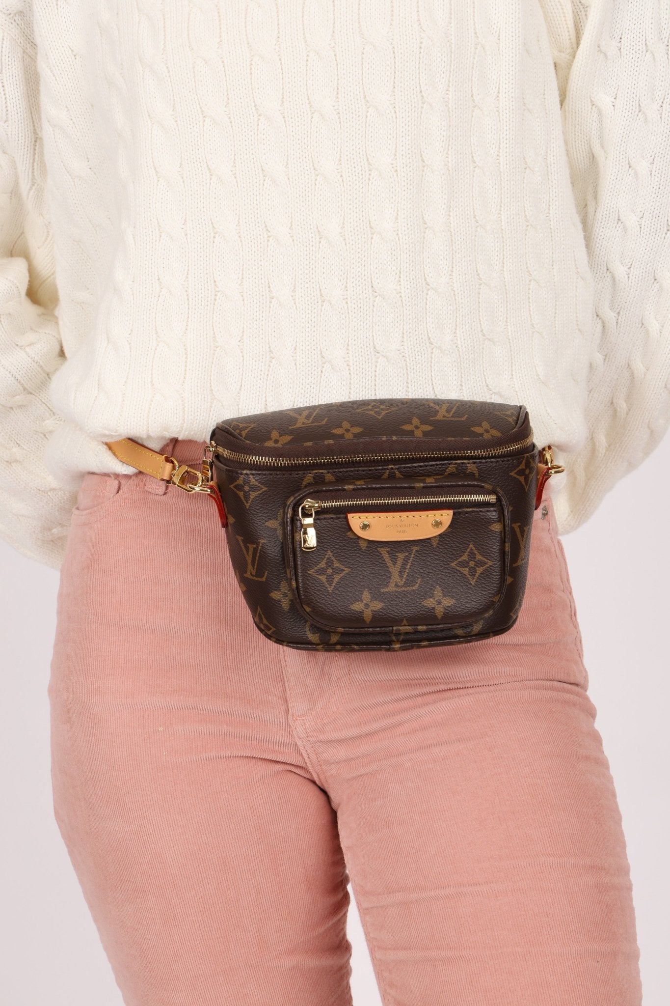 Louis Vuitton Monogram Mini Bum Bag - FashioNica