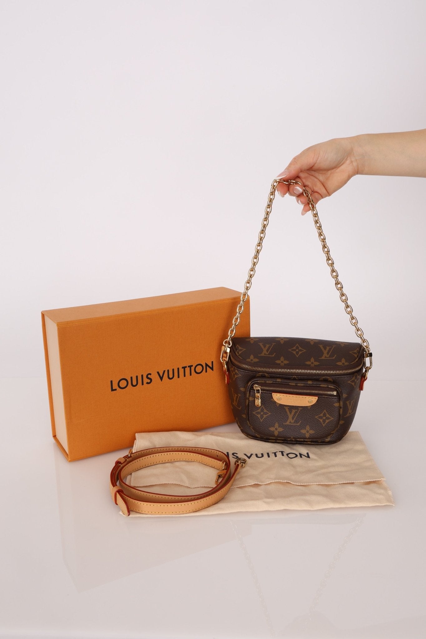 Louis Vuitton Monogram Mini Bum Bag - FashioNica