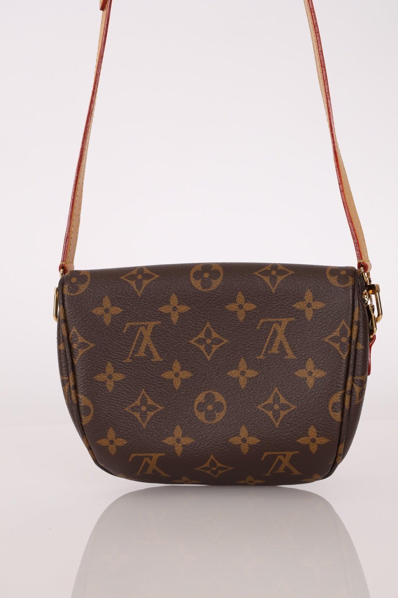 Louis Vuitton Monogram Mini Bum Bag - FashioNica