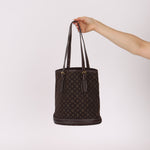 Louis Vuitton Monogram Mini Lin Bucket Bag with Pochette - FashioNica