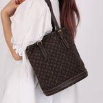 Louis Vuitton Monogram Mini Lin Bucket Bag with Pochette - FashioNica