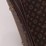 Louis Vuitton Monogram Mini Lin Bucket Bag with Pochette - FashioNica
