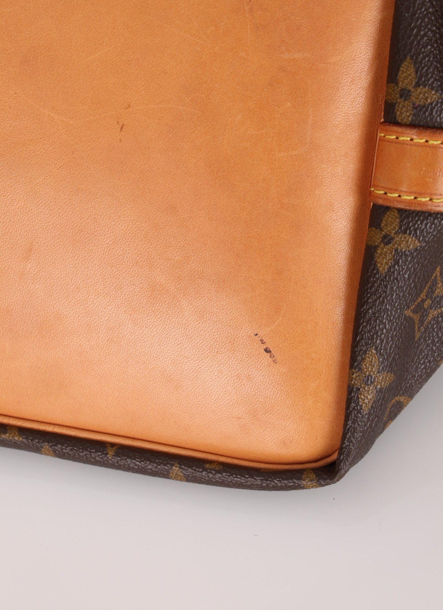 Louis Vuitton Monogram Petit Noe - FashioNica