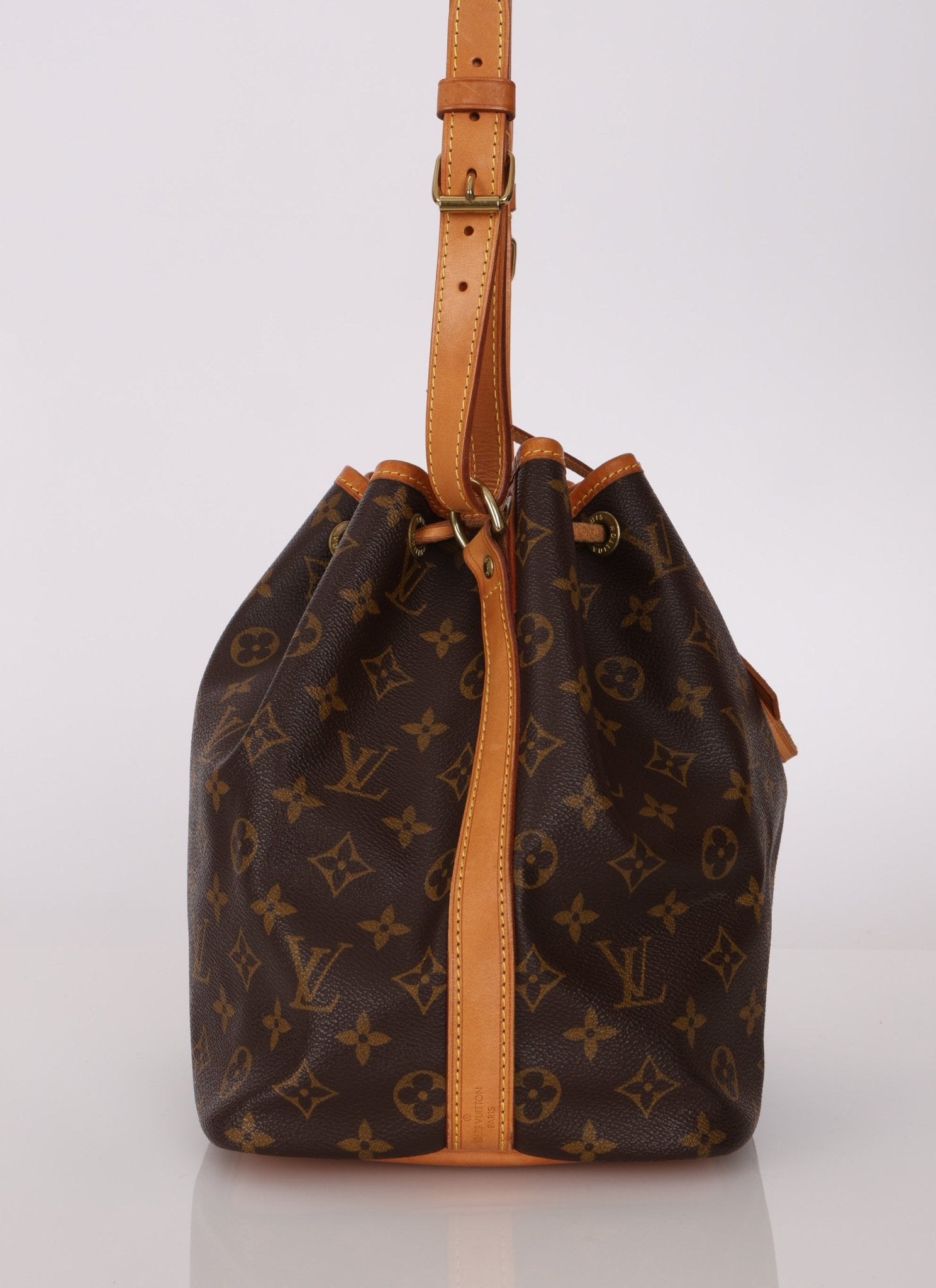 Louis Vuitton Monogram Petit Noe - FashioNica