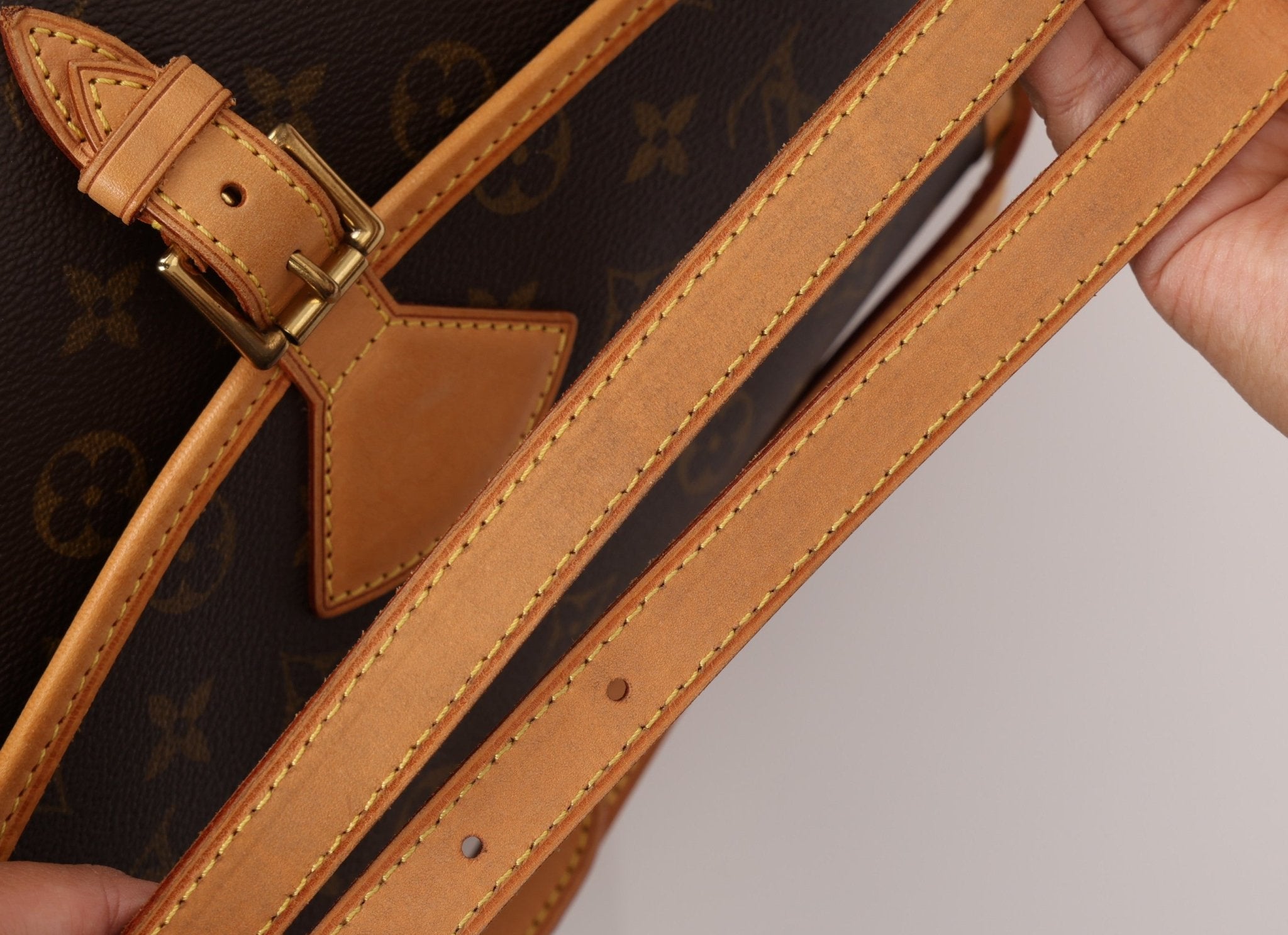 Louis Vuitton Monogram Sologne Crossbody - FashioNica