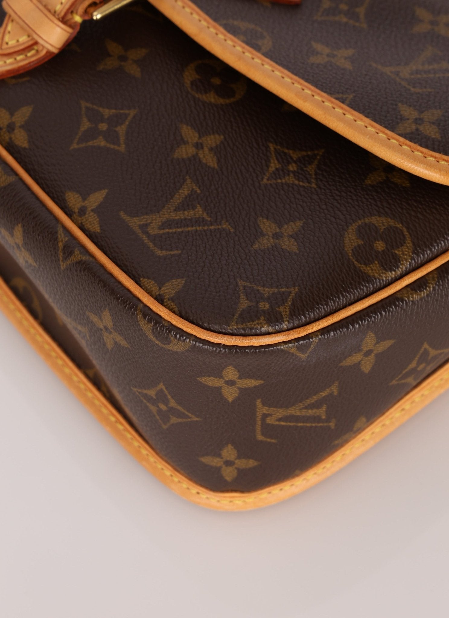 Louis Vuitton Monogram Sologne Crossbody - FashioNica