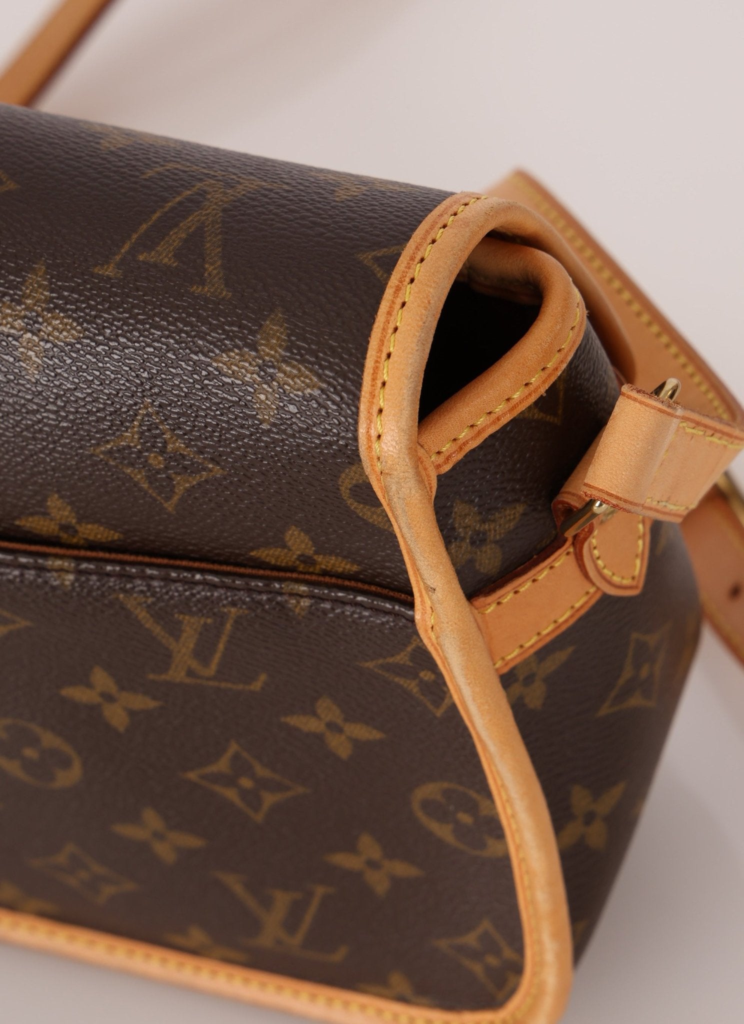 Louis Vuitton Monogram Sologne Crossbody - FashioNica
