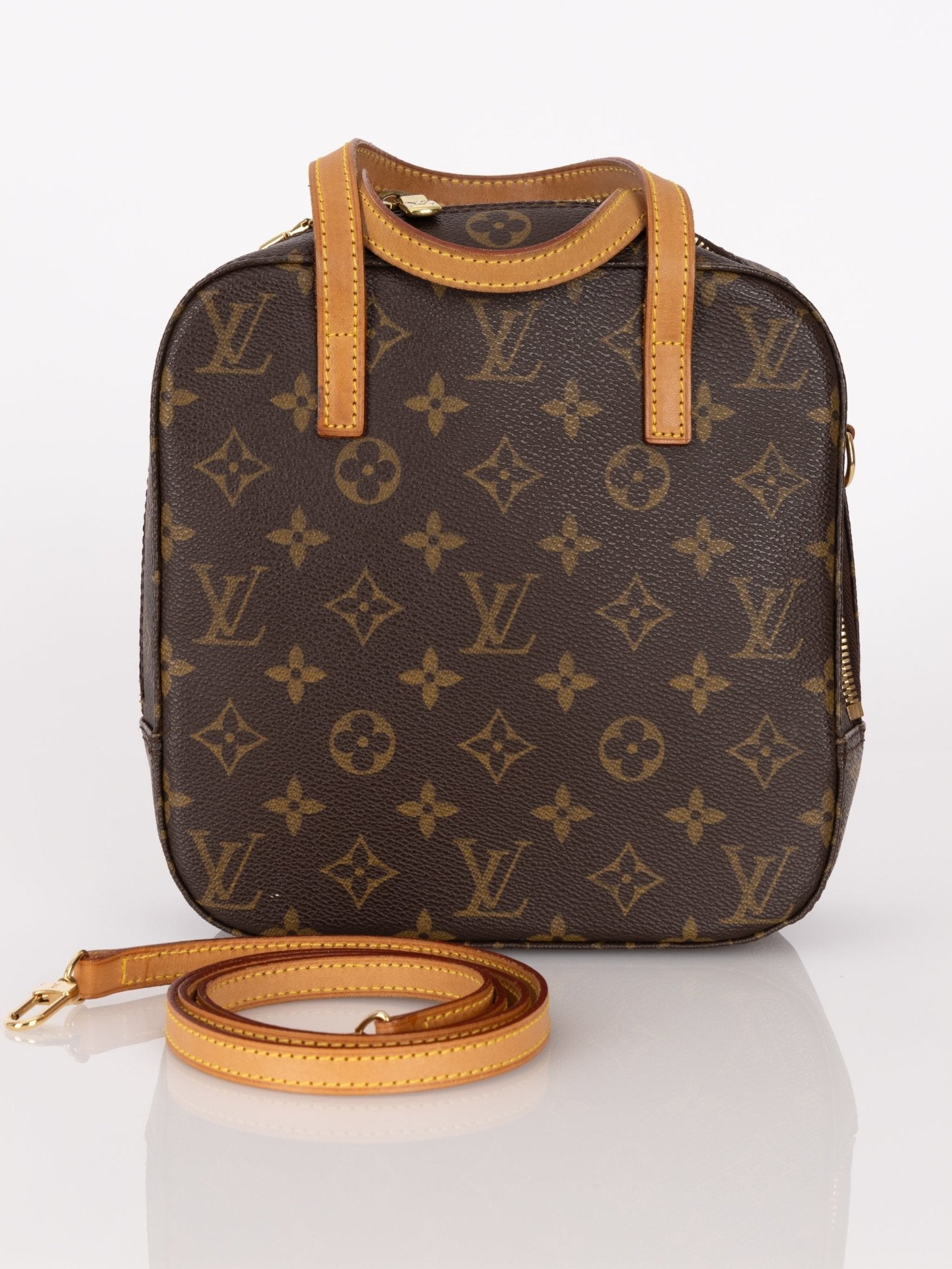 Louis Vuitton Monogram Spontini with Strap - FashioNica