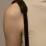 Louis Vuitton Monogram Strap - FashioNica