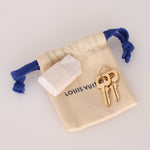 Louis Vuitton Speedy Bandoulière 20 w/ Strap - FashioNica