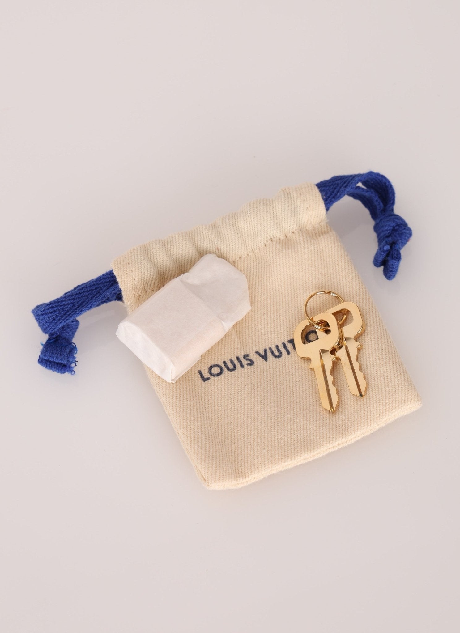 Louis Vuitton Speedy Bandoulière 20 w/ Strap - FashioNica