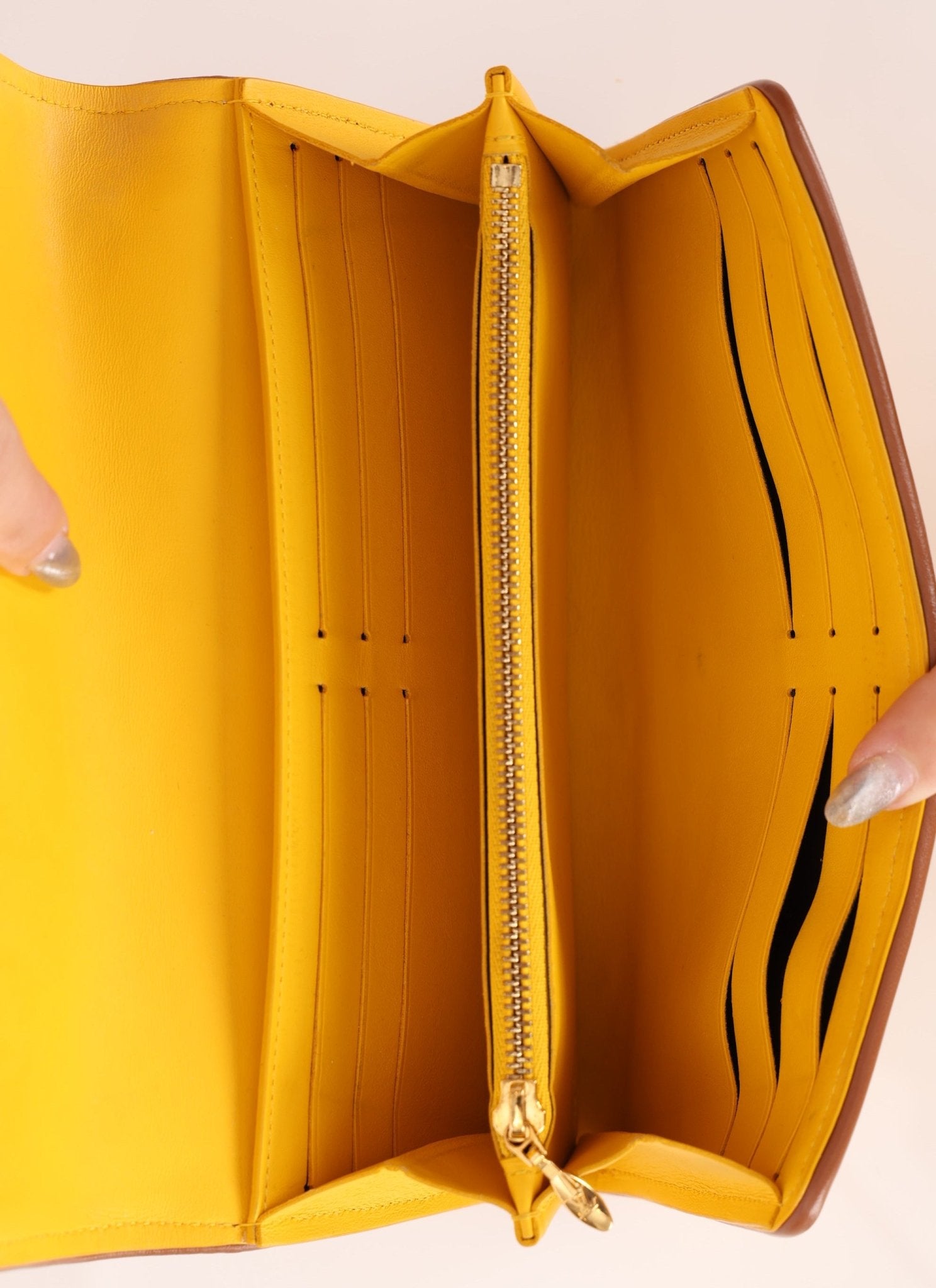 Louis Vuitton Striped Canvas Capucines Long Wallet - FashioNica