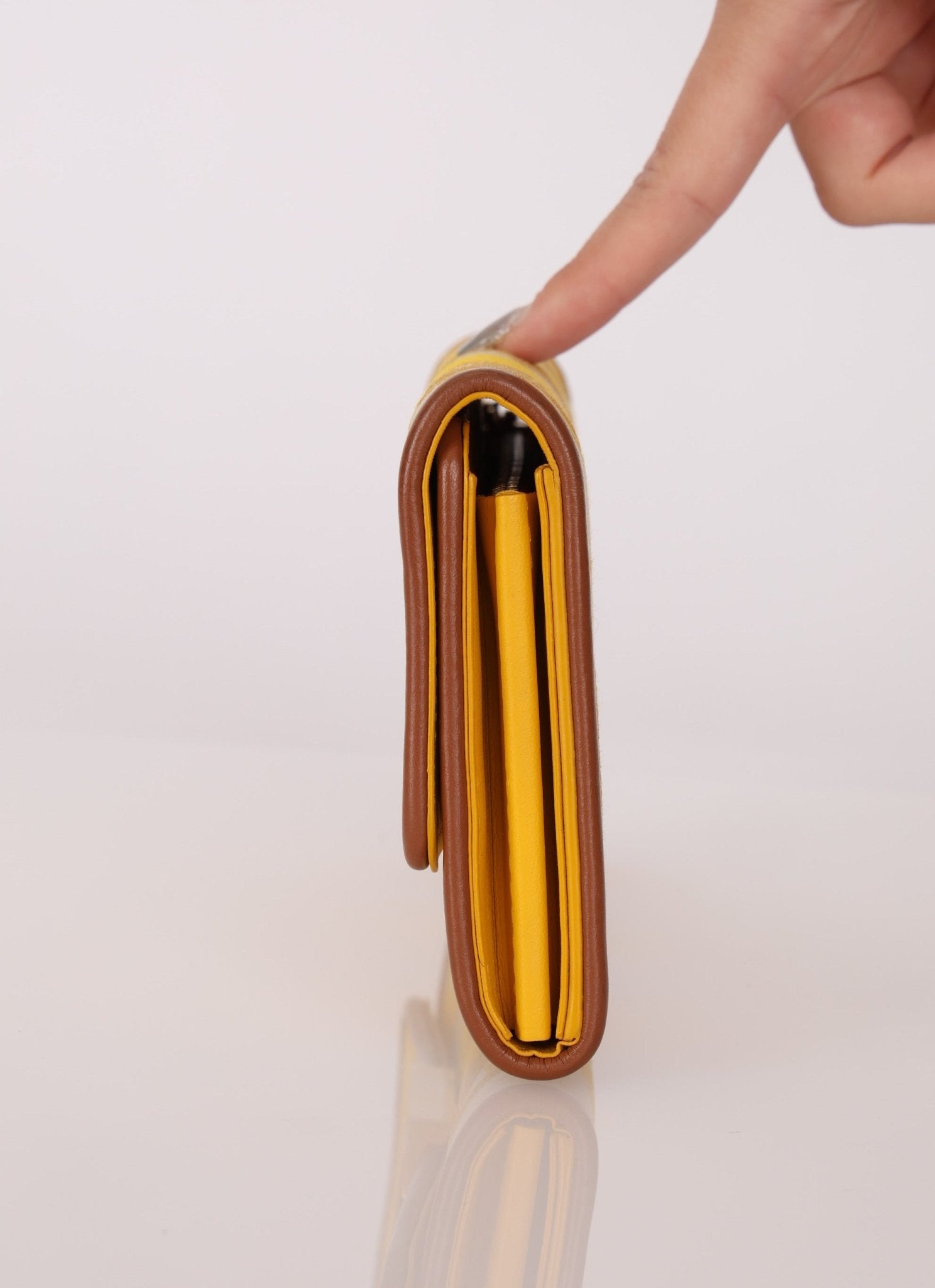 Louis Vuitton Striped Canvas Capucines Long Wallet - FashioNica