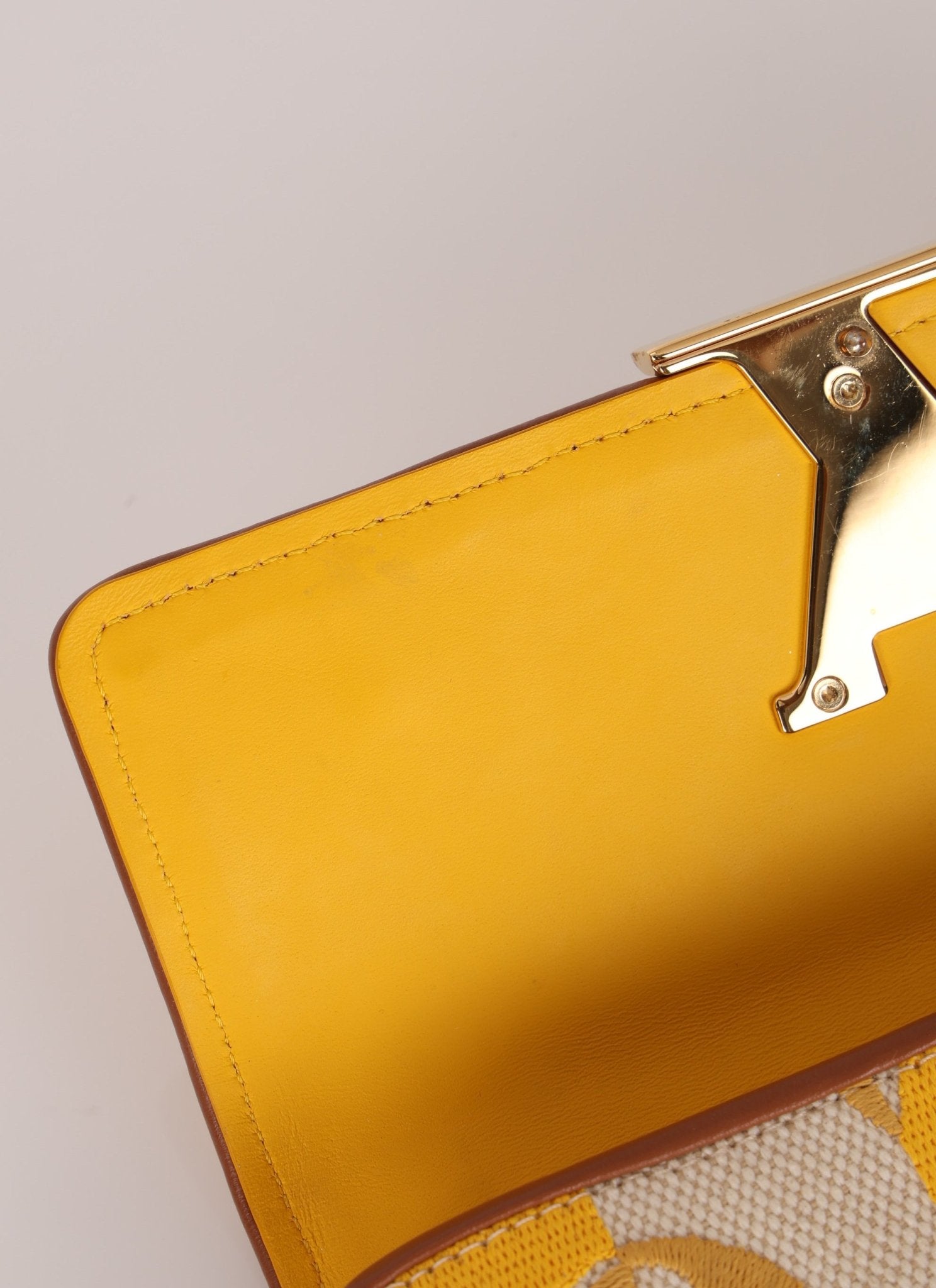 Louis Vuitton Striped Canvas Capucines Long Wallet - FashioNica