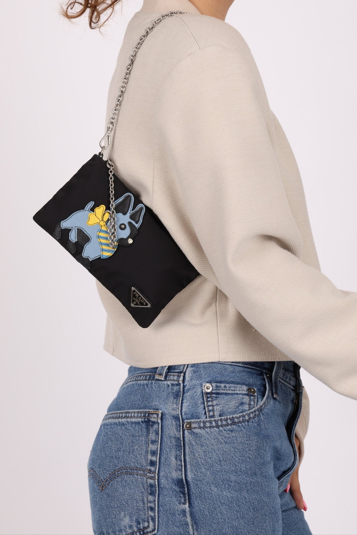 Prada Nylon French Bulldog Chain Pochette - FashioNica