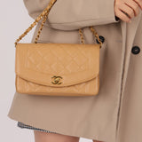 Rare Chanel 1995 Dark Beige Caviar Small Diana 24K GP - FashioNica