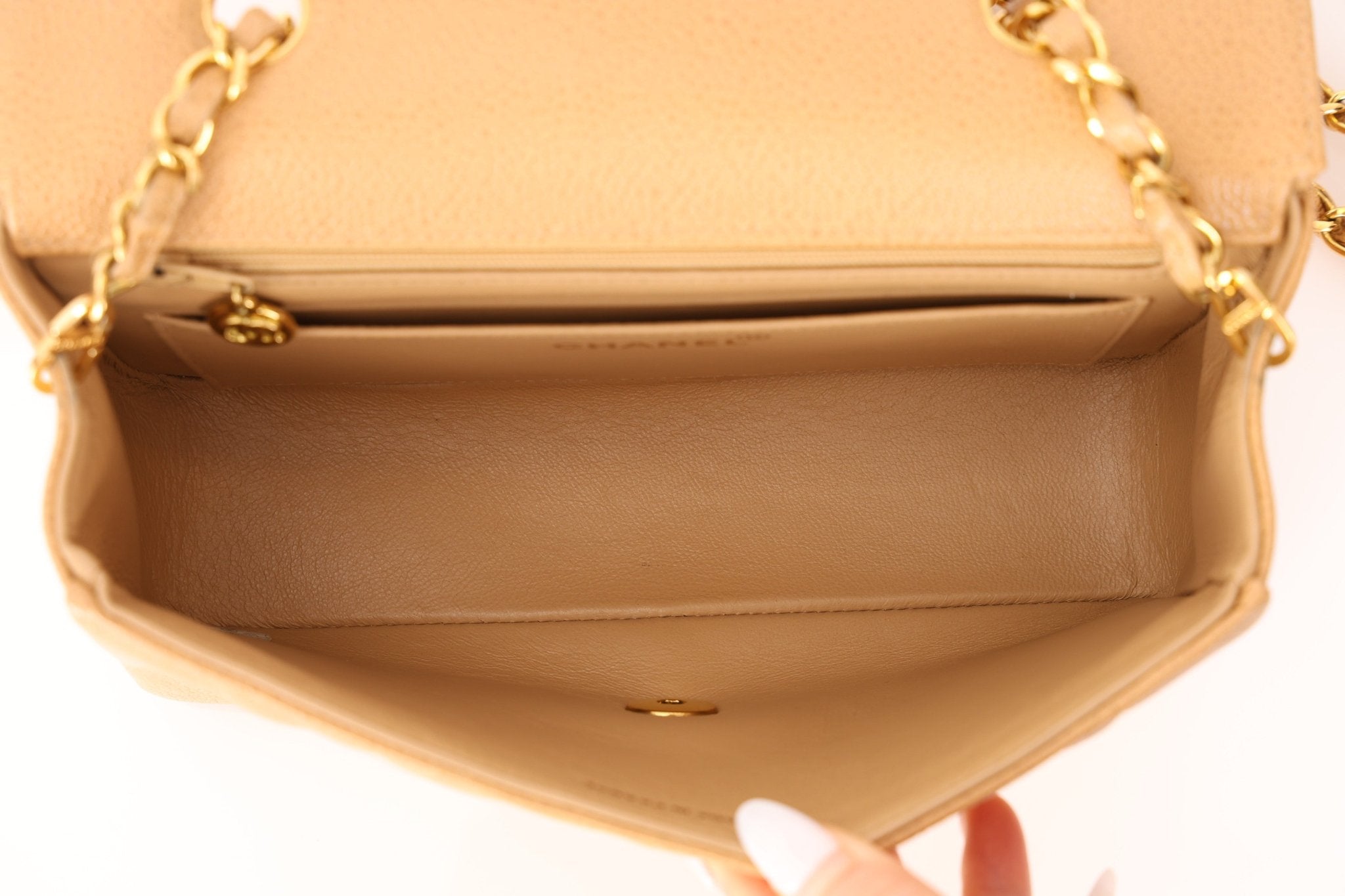 Rare Chanel 1995 Dark Beige Caviar Small Diana 24K GP - FashioNica