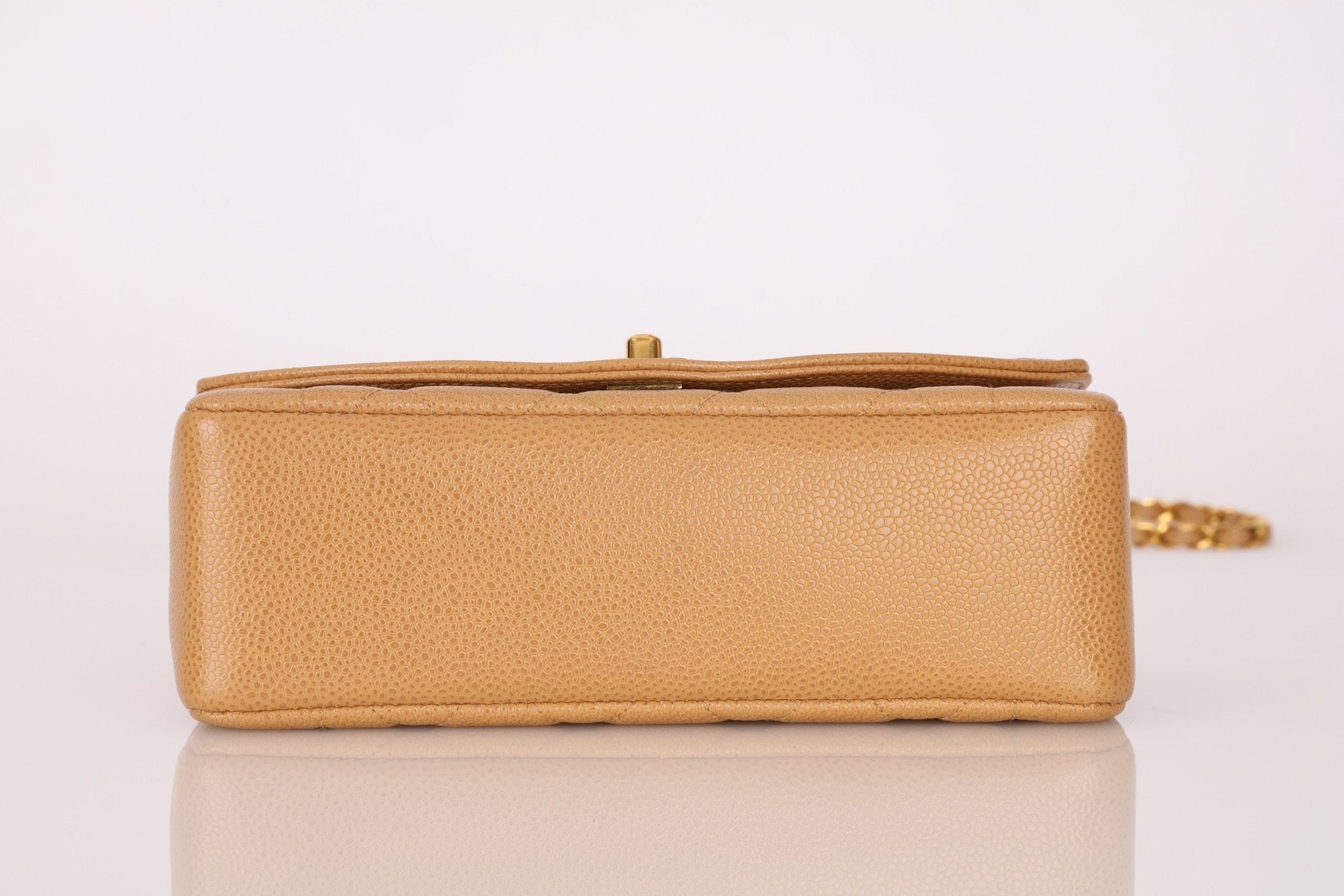 Rare Chanel 1995 Dark Beige Caviar Small Diana 24K GP - FashioNica