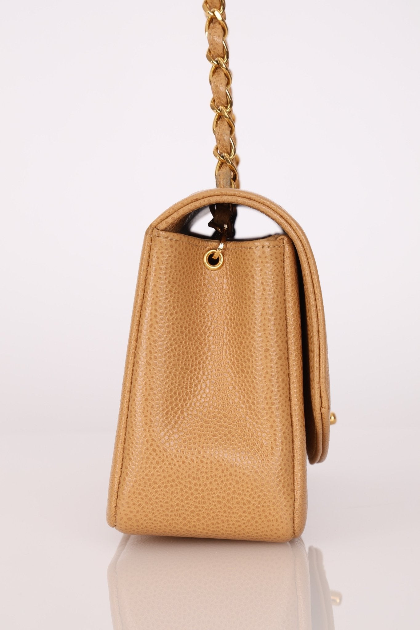 Rare Chanel 1995 Dark Beige Caviar Small Diana 24K GP - FashioNica