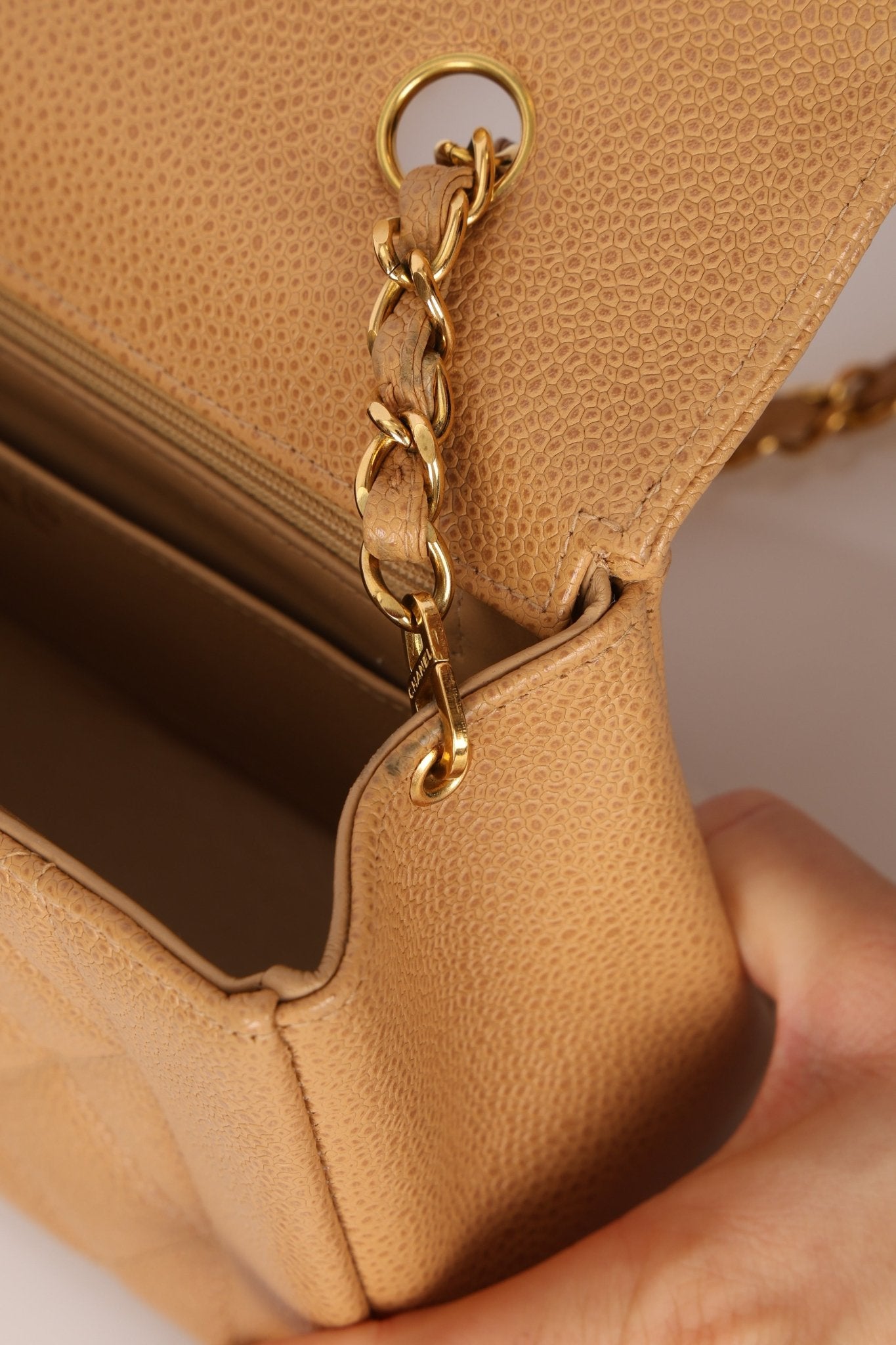 Rare Chanel 1995 Dark Beige Caviar Small Diana 24K GP - FashioNica