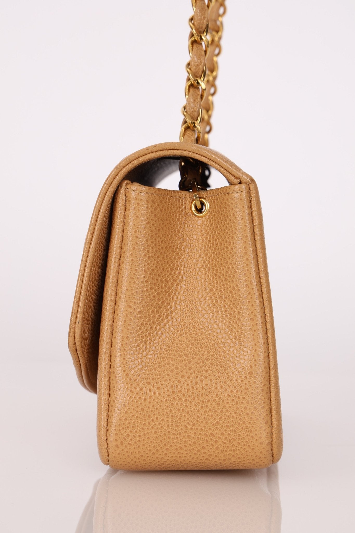 Rare Chanel 1995 Dark Beige Caviar Small Diana 24K GP - FashioNica