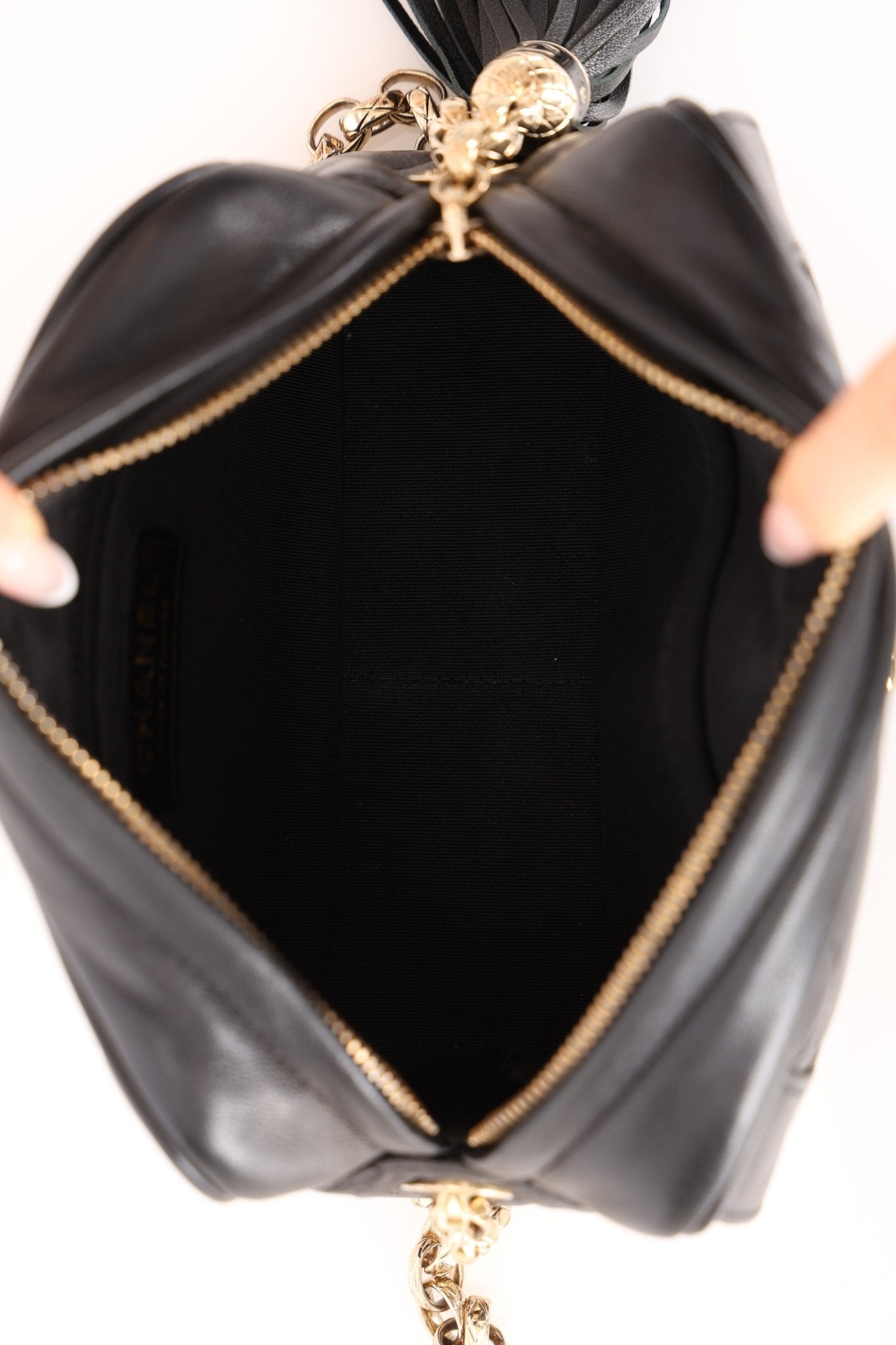 Rare Chanel 2019 Lambskin Bijoux Diana Camera Bag - FashioNica