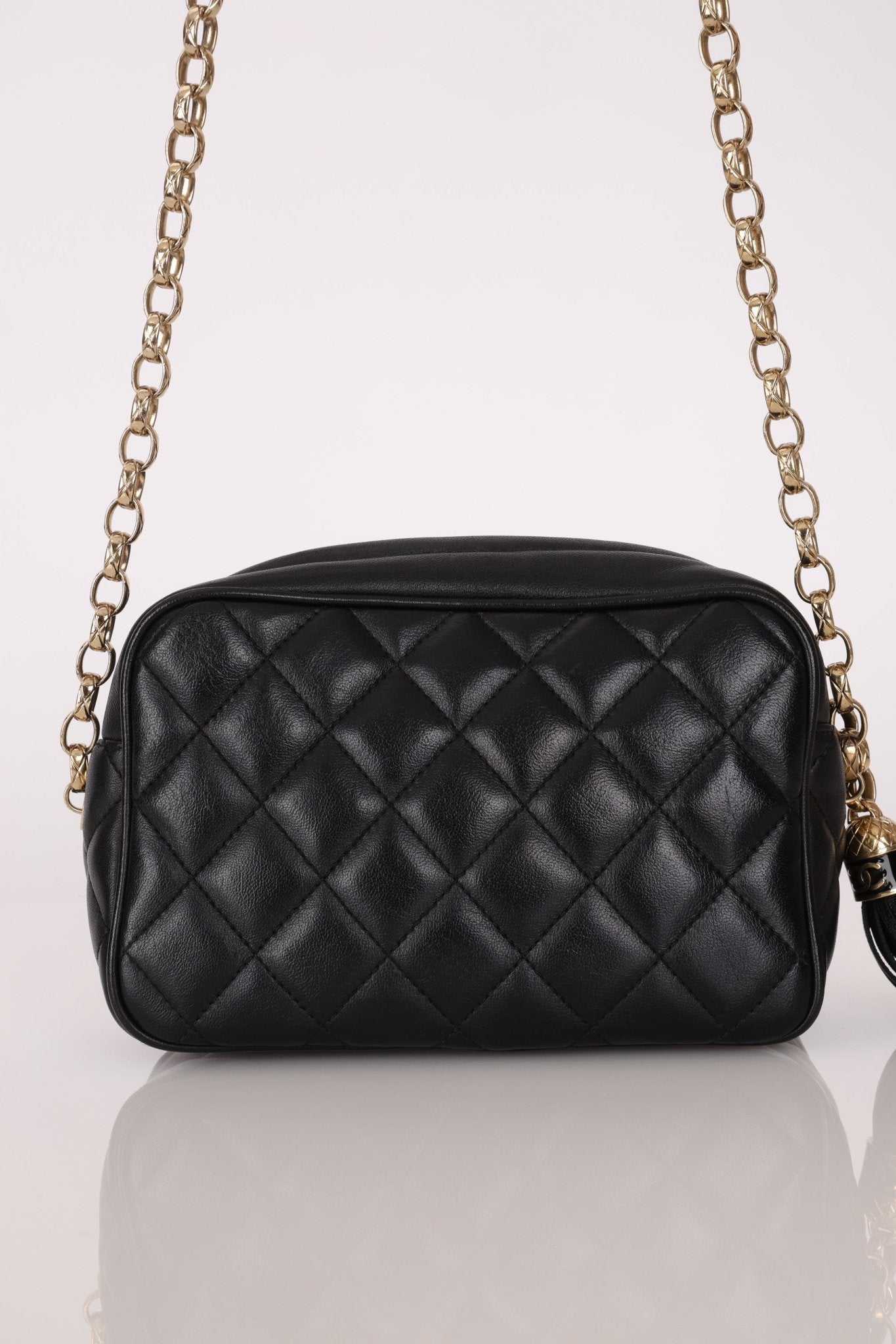 Rare Chanel 2019 Lambskin Bijoux Diana Camera Bag - FashioNica