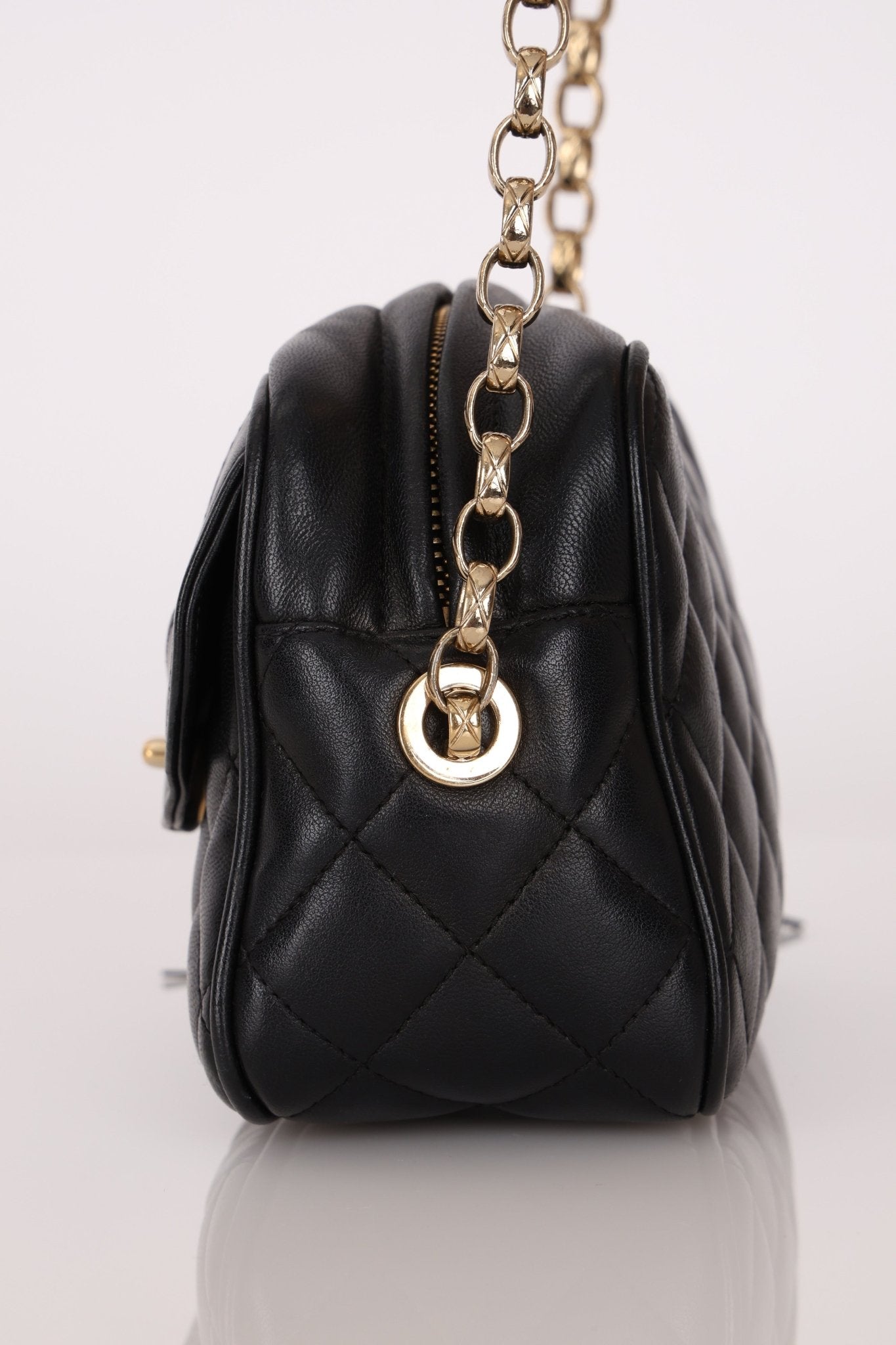 Rare Chanel 2019 Lambskin Bijoux Diana Camera Bag - FashioNica