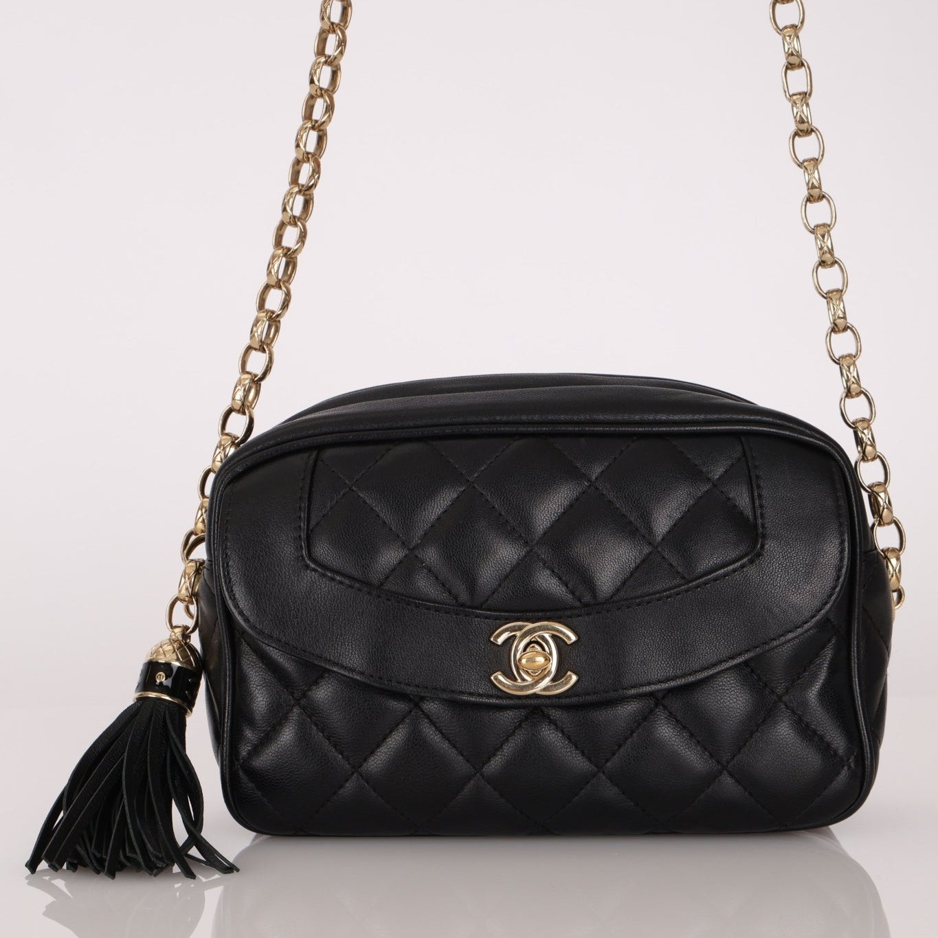 Rare Chanel 2019 Lambskin Bijoux Diana Camera Bag - FashioNica