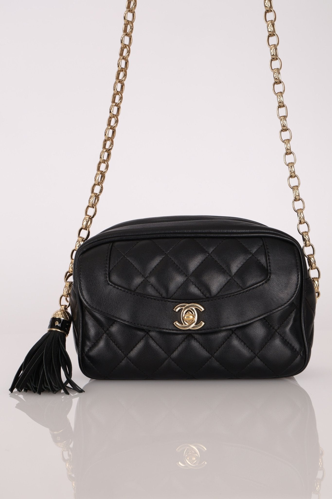 Rare Chanel 2019 Lambskin Bijoux Diana Camera Bag - FashioNica