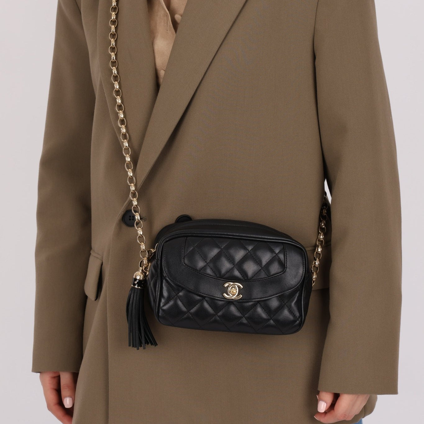 Rare Chanel 2019 Lambskin Bijoux Diana Camera Bag - FashioNica