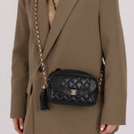 Rare Chanel 2019 Lambskin Bijoux Diana Camera Bag - FashioNica