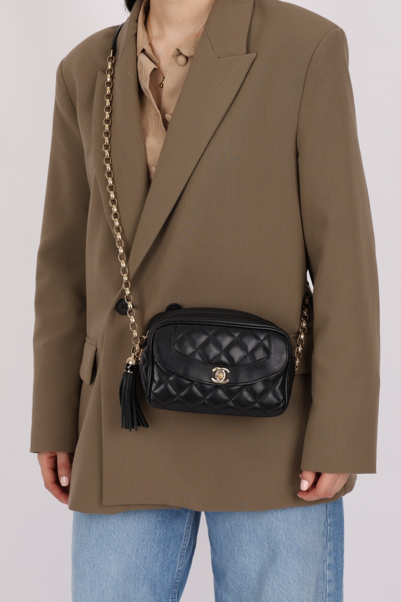 Rare Chanel 2019 Lambskin Bijoux Diana Camera Bag - FashioNica