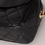 Rare Chanel 2019 Lambskin Bijoux Diana Camera Bag - FashioNica