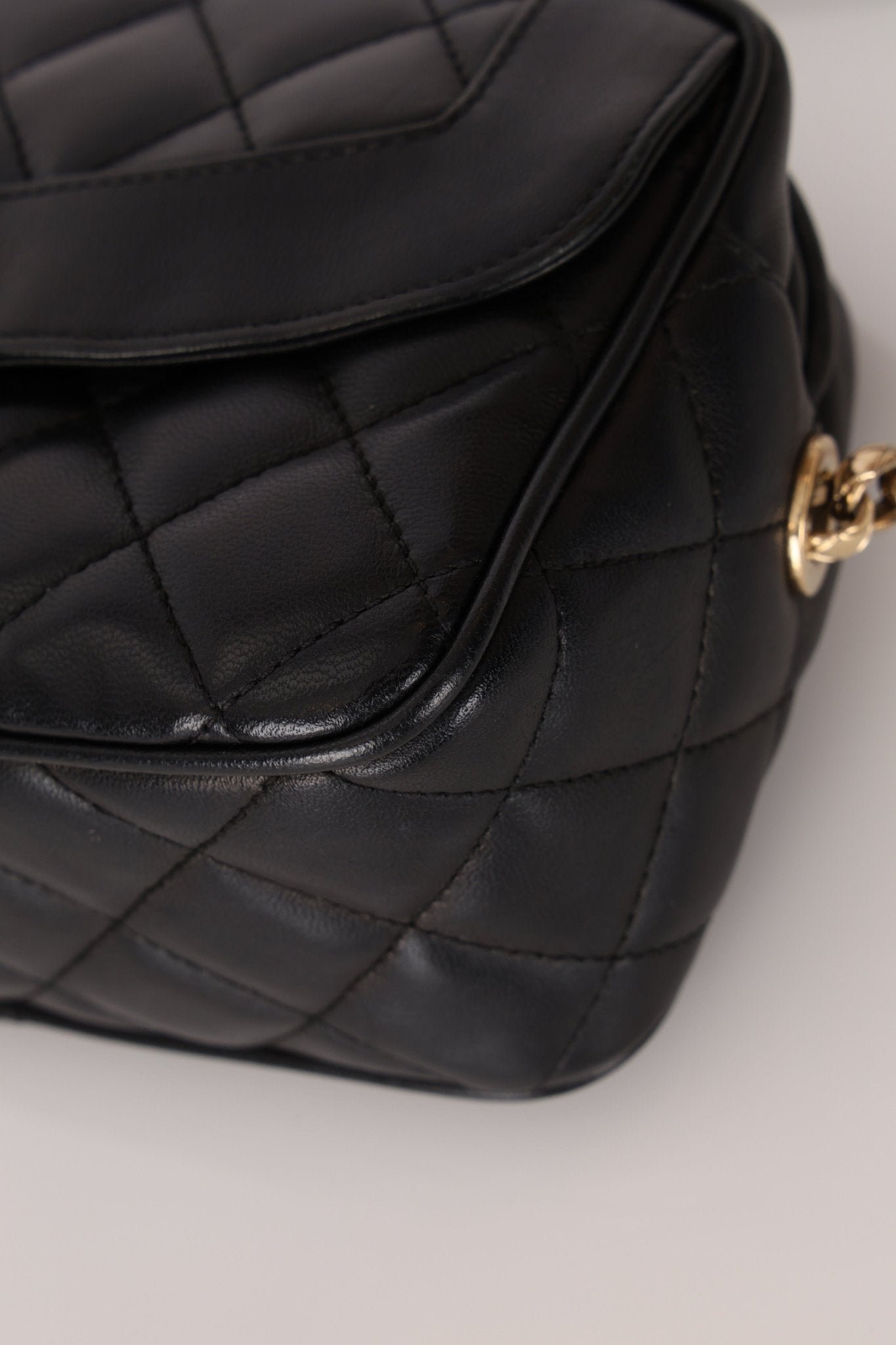 Rare Chanel 2019 Lambskin Bijoux Diana Camera Bag - FashioNica