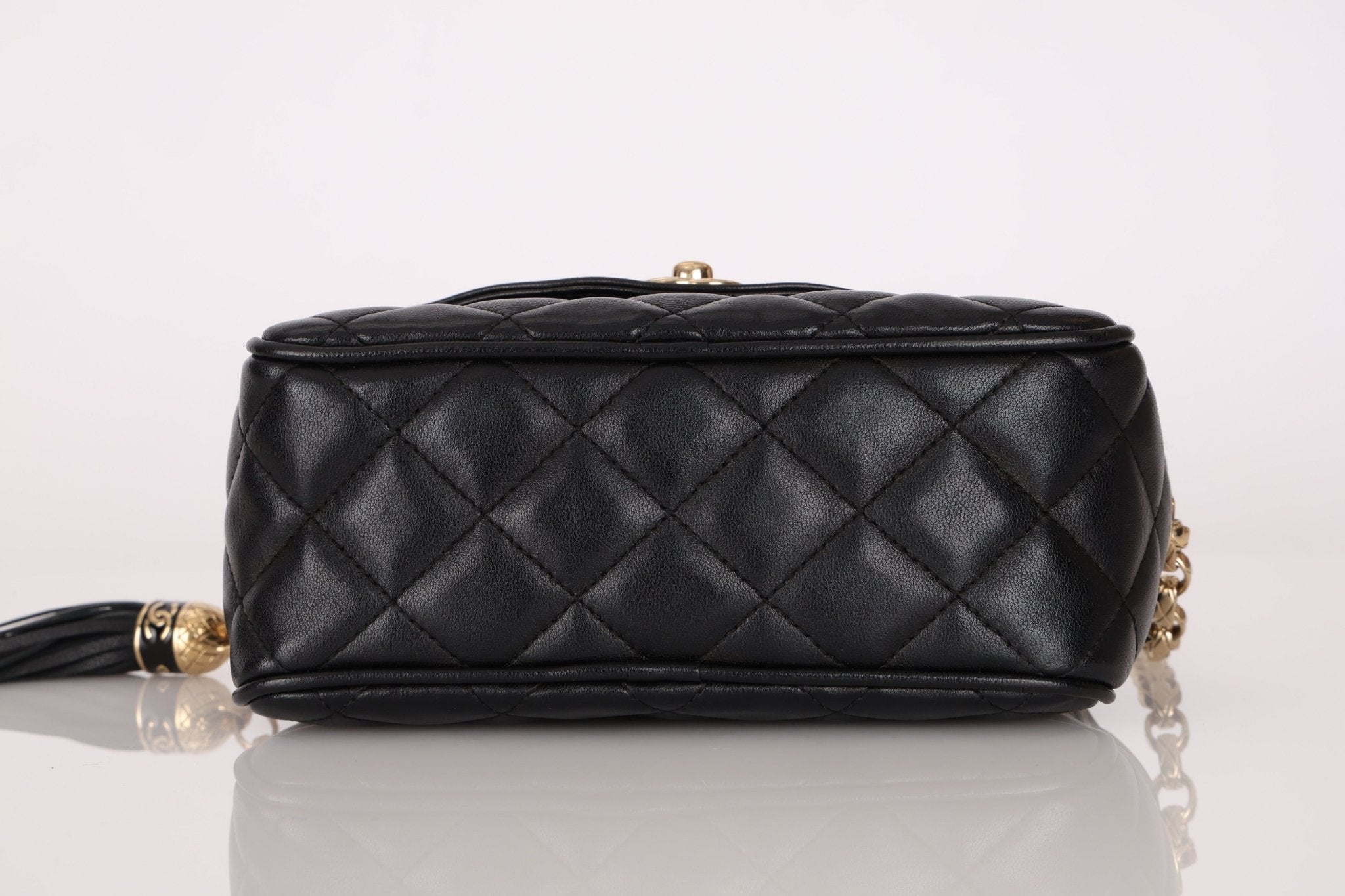 Rare Chanel 2019 Lambskin Bijoux Diana Camera Bag - FashioNica