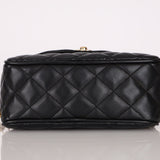 Rare Chanel 2019 Lambskin Bijoux Diana Camera Bag - FashioNica