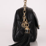 Rare Chanel 2019 Lambskin Bijoux Diana Camera Bag - FashioNica