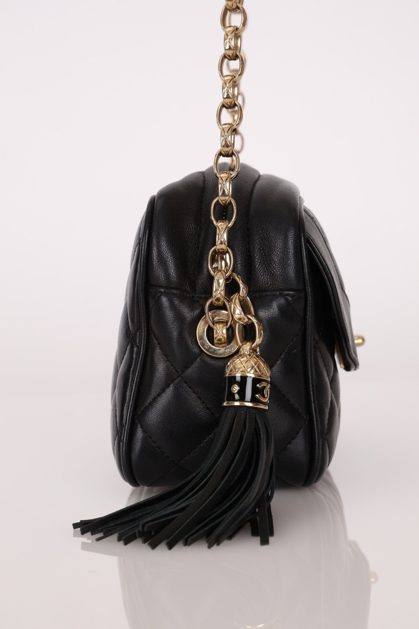 Rare Chanel 2019 Lambskin Bijoux Diana Camera Bag - FashioNica