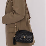 Rare Chanel 2019 Lambskin Bijoux Diana Camera Bag - FashioNica