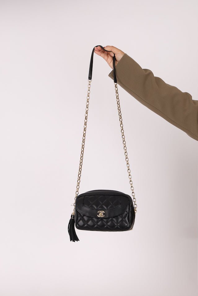 Rare Chanel 2019 Lambskin Bijoux Diana Camera Bag - FashioNica