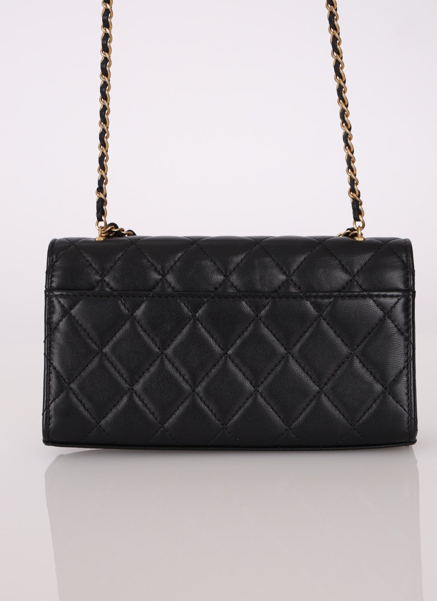 Rare Chanel 23A Lambskin Lion Charm Top Handle Wallet on Chain - FashioNica