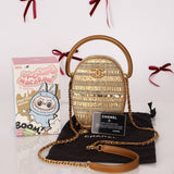 Ultra - Rare Chanel 19A Metallic Tweed & Sequin Paris - Egypt Camera Case - FashioNica