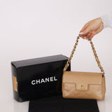 Ultra - Rare Chanel 2001 Iridescent Caviar Mini Half Flap - FashioNica