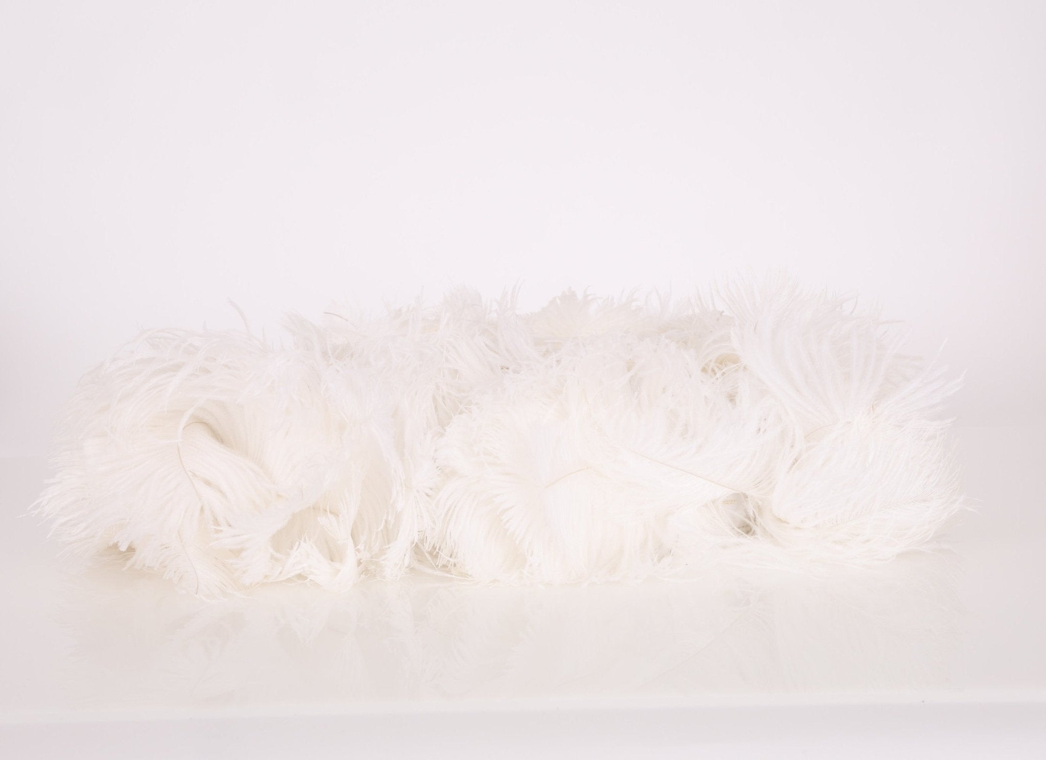 Ultra - Rare Fendi White Ostrich Feather Baguette - FashioNica