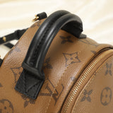 Louis Vuitton Palm Springs Reverse PM Backpack