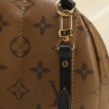 Louis Vuitton Palm Springs Reverse PM Backpack