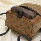 Louis Vuitton Palm Springs Reverse PM Backpack