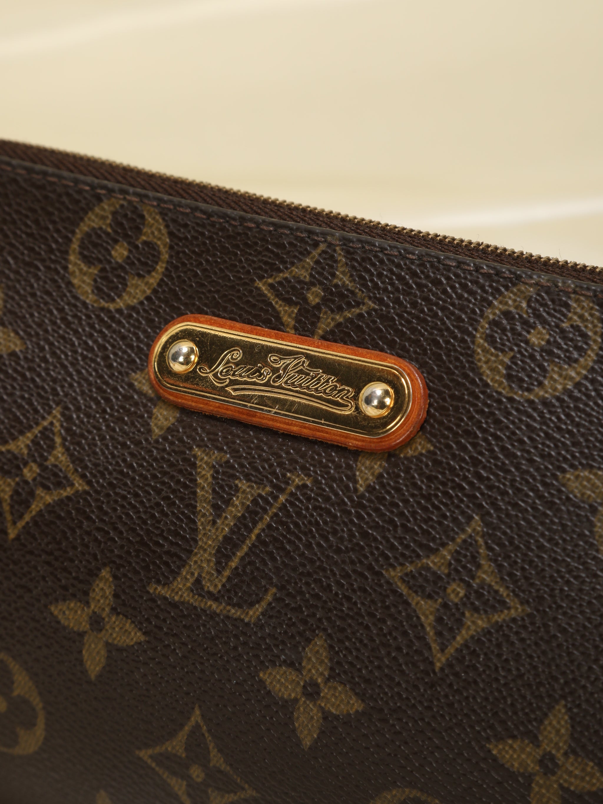Louis Vuitton Eva Pochette